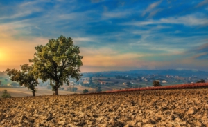 tour guide assisi umbria