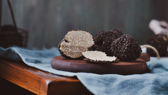 Truffle Hunt Experience near Spoleto - Savour Umbria - Image 3